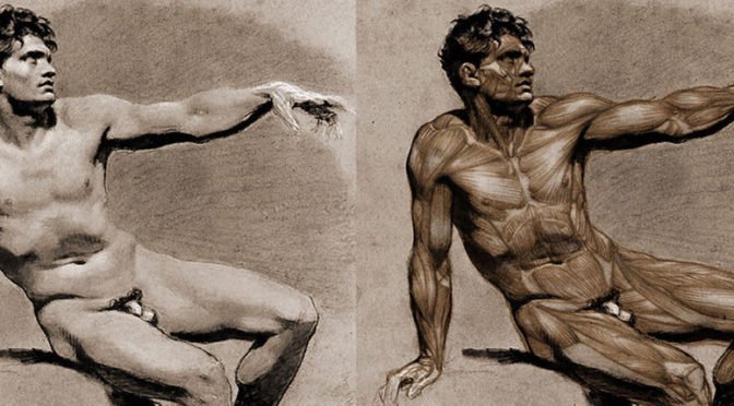 Ecorche - Scott Eaton Anatomy Course